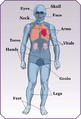 Thumbnail for version as of 16:42, 13 January 2014