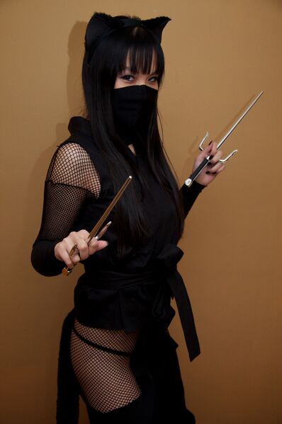 File:Ninja Cat.jpg